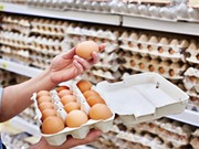Hơn 200 triệu quả trứng bị thu hồi tại Mỹ do nghi nhiễm khuẩn