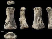 Hóa thạch xương người hiện đại lâu đời nhất ngoài châu Phi