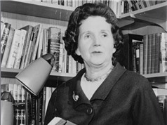 Rachel Carson - người chống lại sự tận diệt tự nhiên  