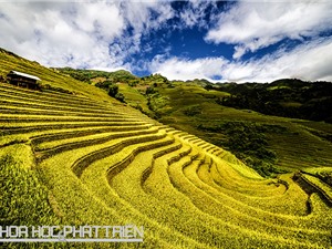 Đối thoại với di sản ruộng bậc thang