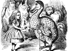 Bí ẩn cái chết của con chim Dodo quý hiếm trong “Alice ở xứ sở thần tiên” 