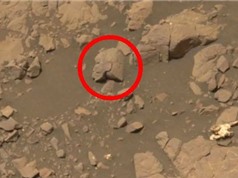 Bằng chứng nền văn minh: Phát hiện tượng nữ chiến binh trên Sao Hỏa?