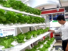 Techmart trồng trọt, bảo quản và chế biến rau, củ, quả: Chú trọng các giải pháp trọn gói