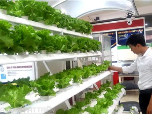 Techmart trồng trọt, bảo quản và chế biến rau, củ, quả: Chú trọng các giải pháp trọn gói