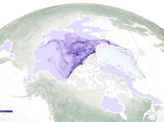 Băng lâu năm ở Bắc Cực đang biến mất