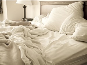 Giường ngủ của người liệu có sạch hơn tổ tinh tinh?