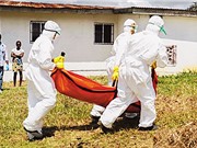 Dịch Ebola có nguy cơ bùng phát tại châu Phi