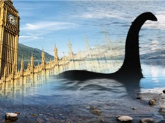 Truy tìm DNA quái vật hồ Loch Ness