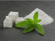 Những điều cần biết về đường ăn kiêng Stevia 