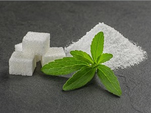 Những điều cần biết về đường ăn kiêng Stevia 