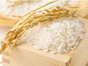 Nồng độ CO2 tăng cao khiến gạo mất vitamin và dưỡng chất