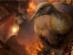 Tổ tiên của loài chim sống sót qua thiên thạch rơi như nào?