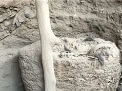 Xác ướp nghìn năm bọc trong kén vải ở Peru
