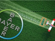 Bayer-Monsanto: Một đám cưới, một đám ma, một viên đạn 