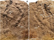 Dấu chân hóa thạch lâu đời nhất thế giới tại Trung Quốc