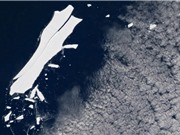 Tảng băng trôi lớn nhất thế giới sắp biến mất