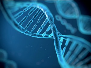 Mỹ muốn lưu trữ dữ liệu tình báo trên máy tính DNA 