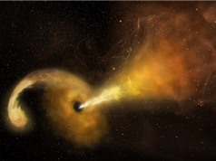Hố đen ăn và phá hủy ngôi sao rủi ro tới quá gần nó
