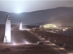 Cựu phi hành gia không tin SpaceX đưa được con người lên sao Hỏa