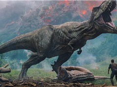 'Jurassic World: Fallen Kingdom' và sự hà tiện trong khoa học về khủng long
