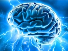 [Infographic] Những điều thú vị về bộ não người