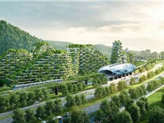 Trung Quốc sẽ xây dựng hàng trăm "thành phố rừng" vào 2025