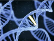 Công nghệ ‘điều chỉnh’ gen giúp tăng sức đề kháng của cơ thể