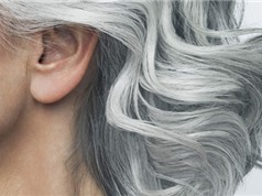 Nguyên nhân khiến tóc người chuyển sang màu trắng khi về già