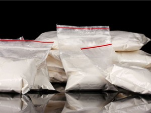 Các nhà khoa học Bỉ tìm thấy "gen cocain"