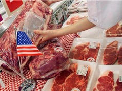 Bảo vệ môi trường, một công ty Mỹ loại bỏ thịt khỏi thực đơn