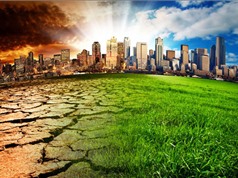 Phát thải ni-tơ cũng góp phần vào biến đổi khí hậu