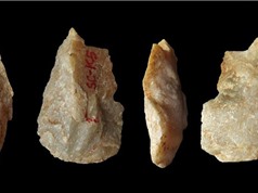 Tổ tiên loài người đã xuất hiện ở châu Á từ hơn 2 triệu năm trước?