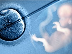 Hơn 8 triệu em bé sinh ra nhờ thụ tinh trong ống nghiệm
