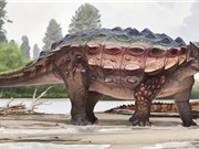 Phát hiện loài khủng long bọc giáp mới ở Mỹ