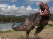 Phát hiện bằng chứng mới về sự tiến hóa của loài khủng long