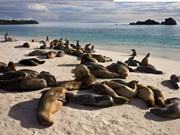 Quần đảo Galápagos: Phòng thí nghiệm Thuyết tiến hóa sinh học
