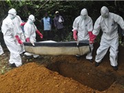 Phát hiện chủng mới của virus Ebola khét tiếng