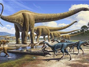 Khủng long vẫn tồn tại 30.000 năm trước – câu hỏi lớn cho thuyết tiến hóa