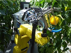 [Video] Robot ''nông dân'' thu hoạch nông sản ấn tượng