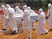 Ổ dịch Ebola mới ở Congo bùng phát từ một thi hài