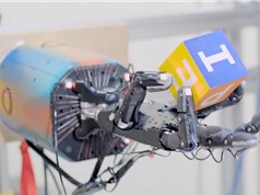 [Video] Bàn tay robot tích hợp AI tiên tiến