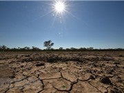 Nông dân Australia chống chọi với tình trạng hạn hán nghiêm trọng
