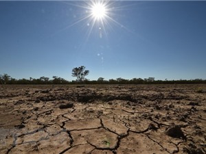 Nông dân Australia chống chọi với tình trạng hạn hán nghiêm trọng