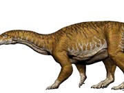 Hóa thạch của loài khủng long khổng lồ đầu tiên trên thế giới