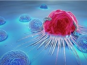 Thuốc ngừa ung thư BXQ-350 chứng minh được hiệu quả