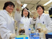 Nỗ lực giảm bất bình đẳng giới trong khoa học Trung Quốc