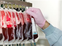 Bước nhảy vọt của y học: Giới khoa học tìm ra cách chuyển nhóm máu A thành nhóm máu O