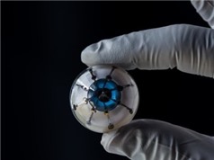 Con mắt điện tử đầu tiên được chế tạo nhờ công nghệ in 3D