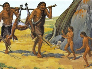 Người Neanderthal bị tuyệt chủng do khí hậu lạnh