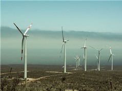 Phát hiện thêm lợi ích từ các trang trại gió và năng lượng Mặt Trời
